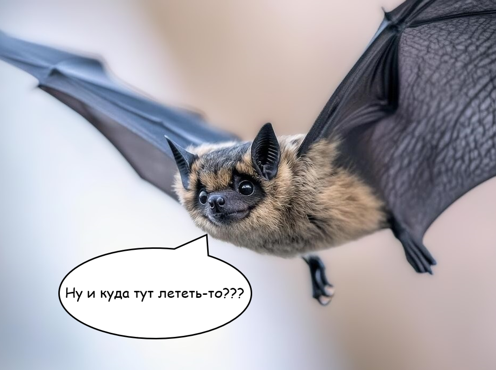 Эхолокация: микрофон и фазированная решётка из колонок - 1